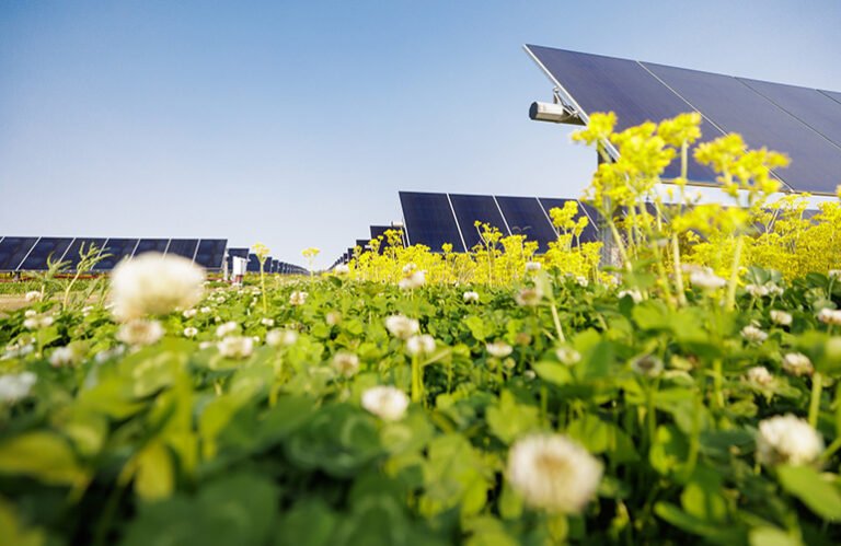 Plus de nouvelles installations solaires ont été installées cette année aux États-Unis que toute autre source d’énergie