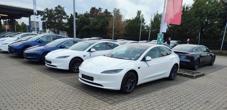 Les livraisons de véhicules Tesla en Suède augmentent de 55 % sur un an malgré la grève : rapport