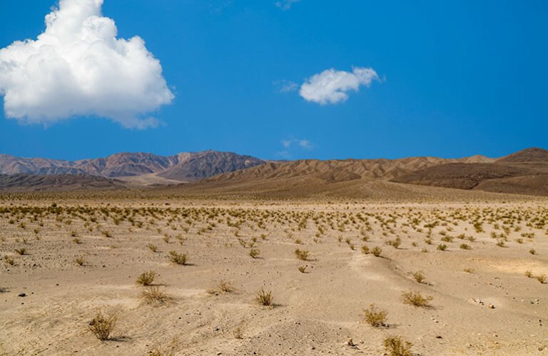 Le Bureau of Land Management publie les règles finales pour les projets d’énergie renouvelable sur les terres publiques