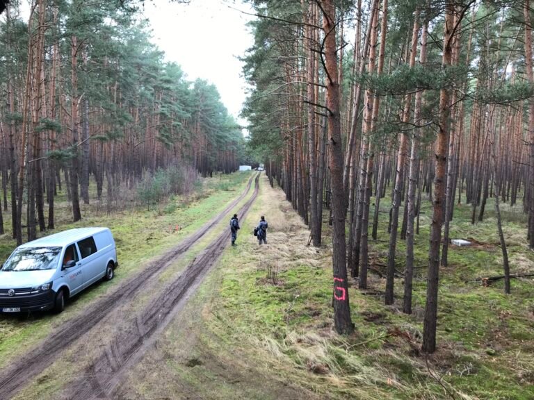 Les manifestants du Tesla Giga Berlin vivant dans des cabanes dans les arbres prévoient de rester indéfiniment