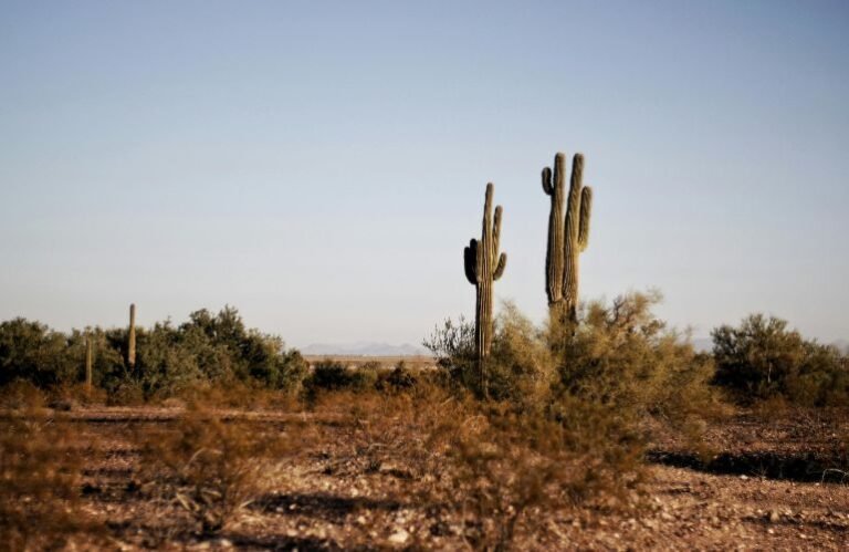 La production solaire mensuelle dépasse le charbon pour la première fois au Texas